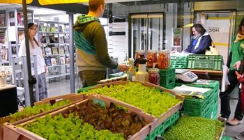 Garten-1.JPG