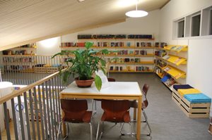 Bibliothek-8.JPG